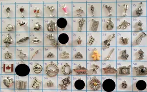 Add A Charm Listing for Jules Obsession Expandable Bracelets COOKING WINE TRAVEL CAMERA FLOWERS Charms