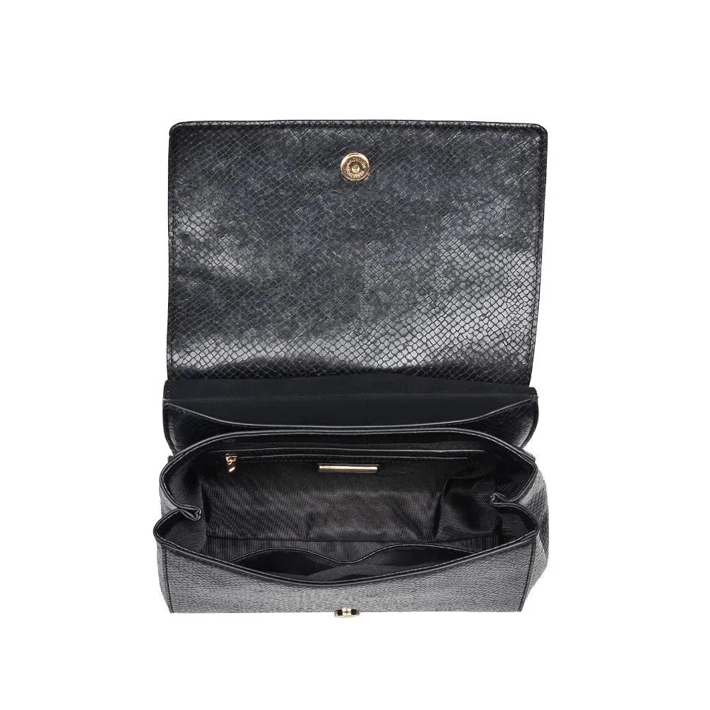 Camila Zebra Satchel