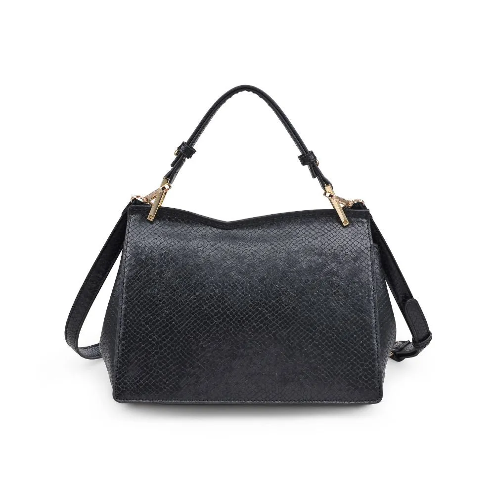 Camila Zebra Satchel