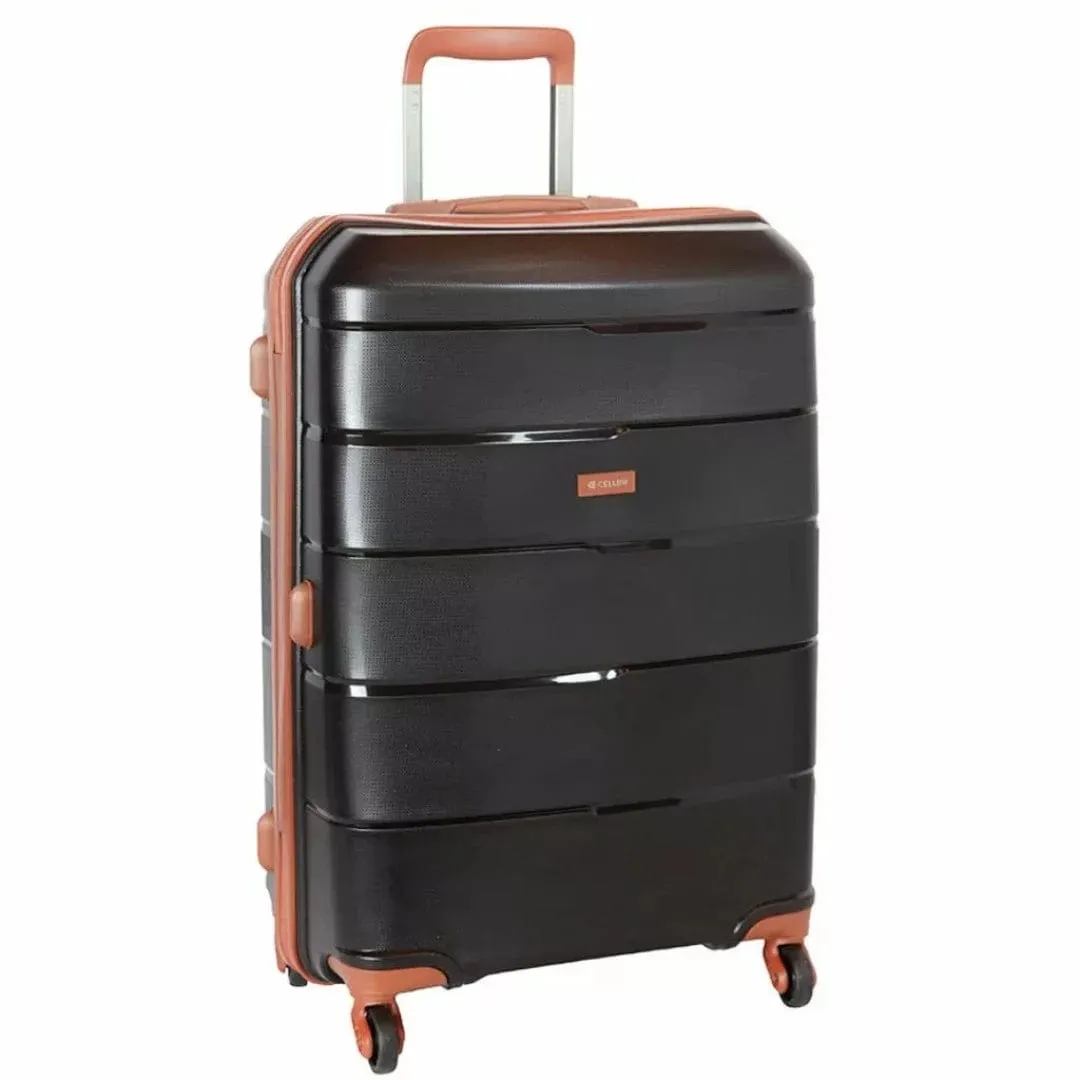 Cellini Spinn Medium Trolley Case Black/Tan