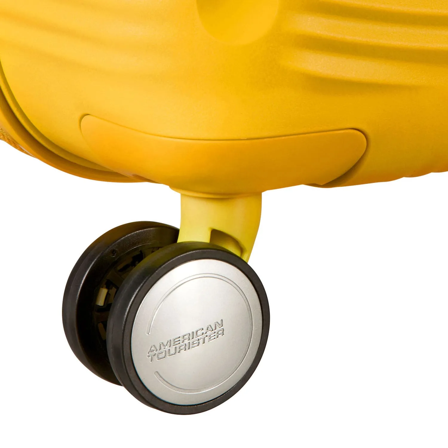 Curio Spinner Large Expandable