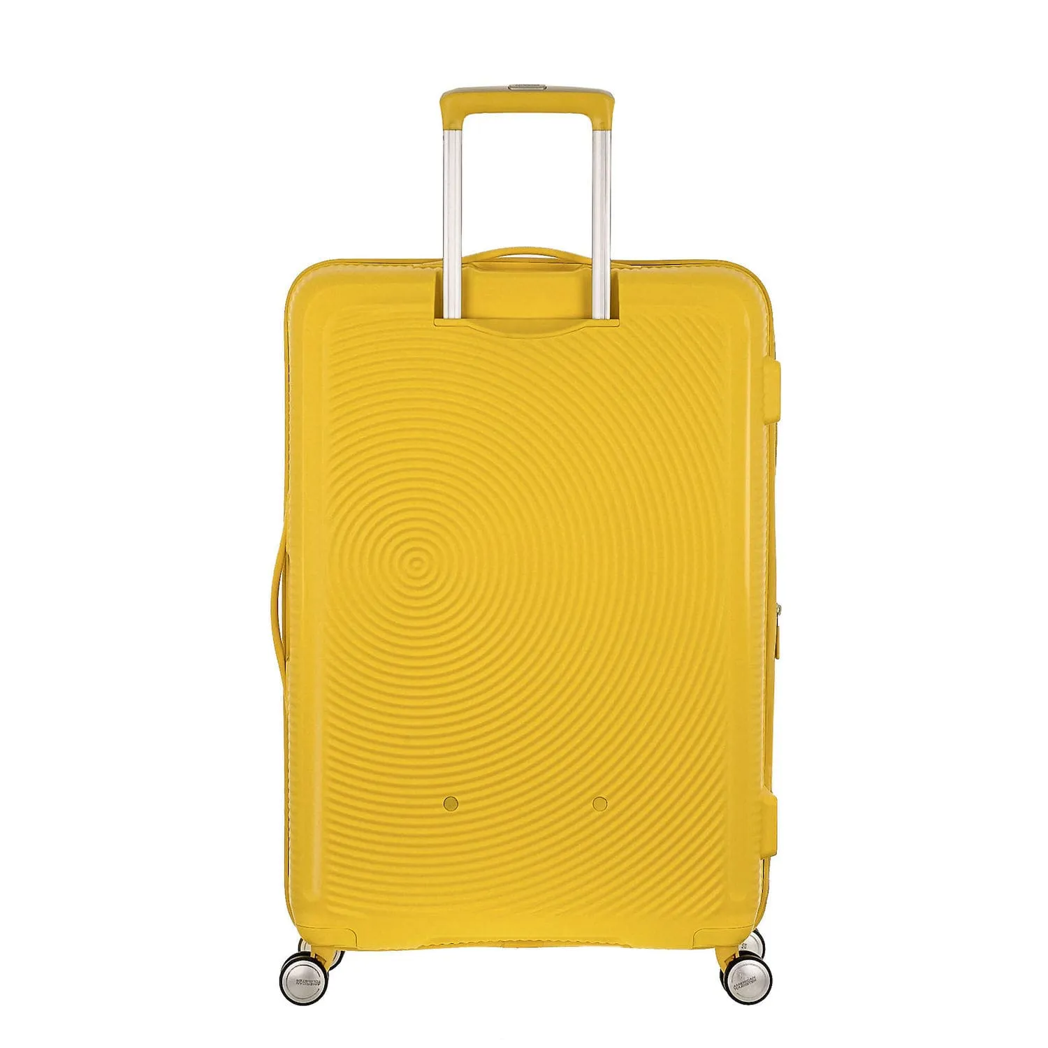 Curio Spinner Large Expandable