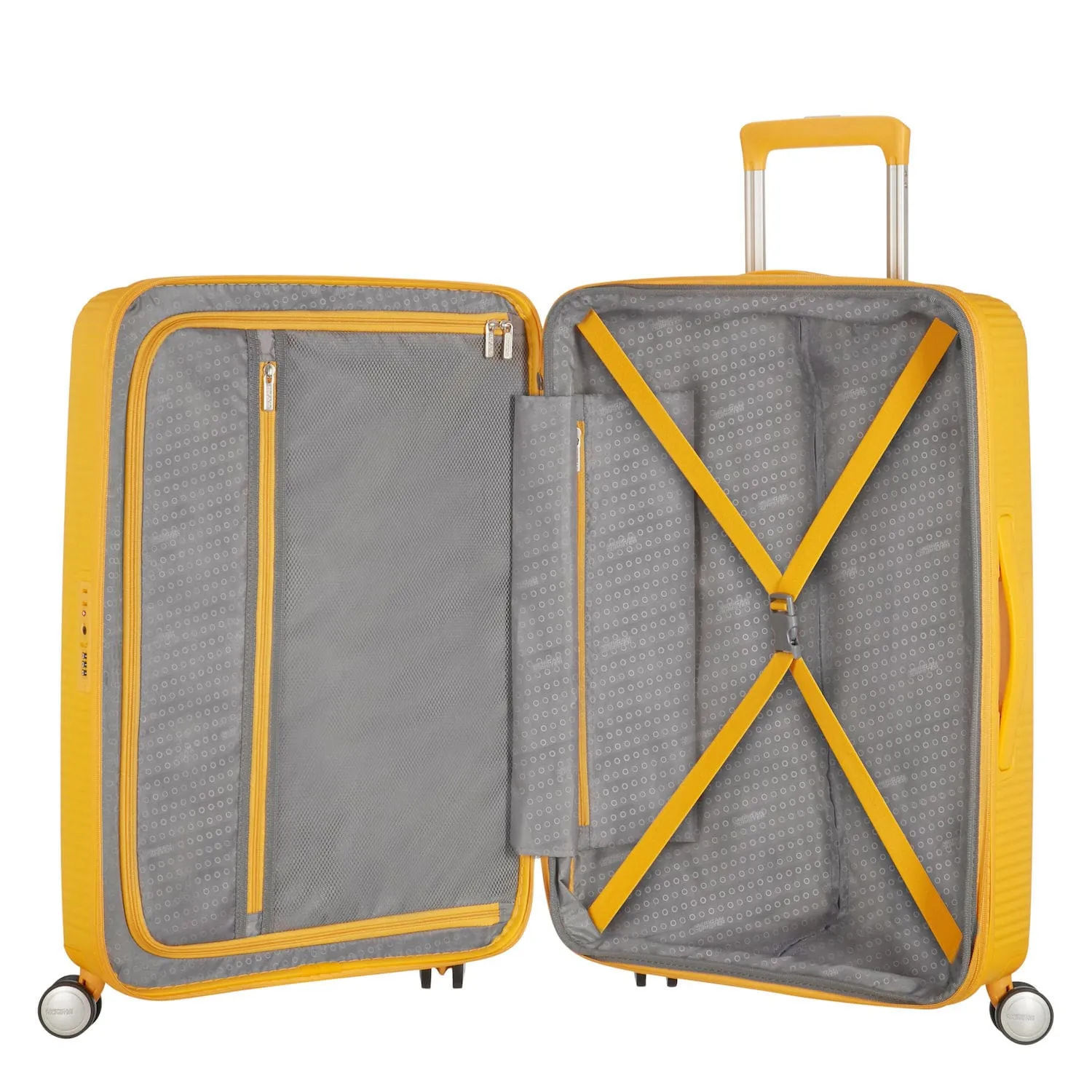 Curio Spinner Large Expandable