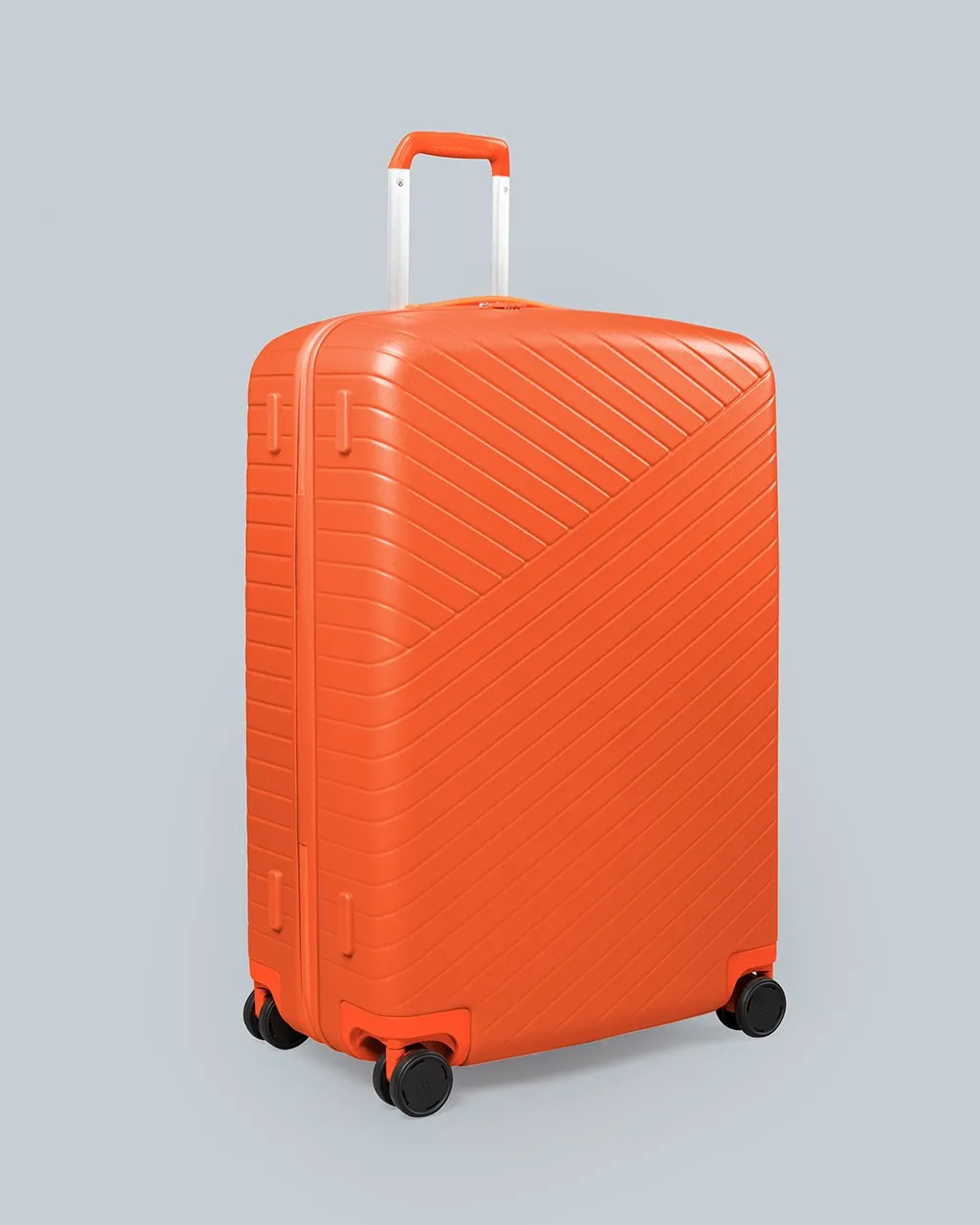 Large