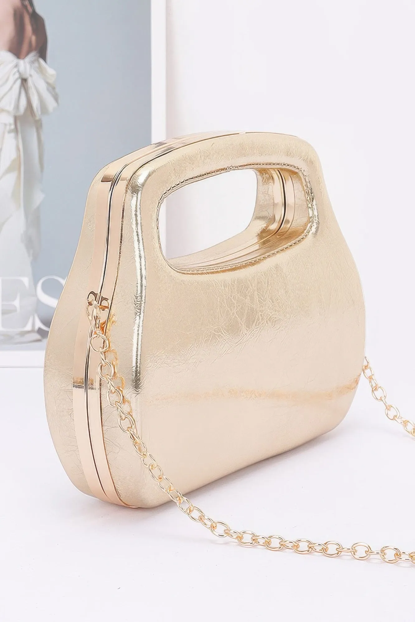 Metallic Case Bag