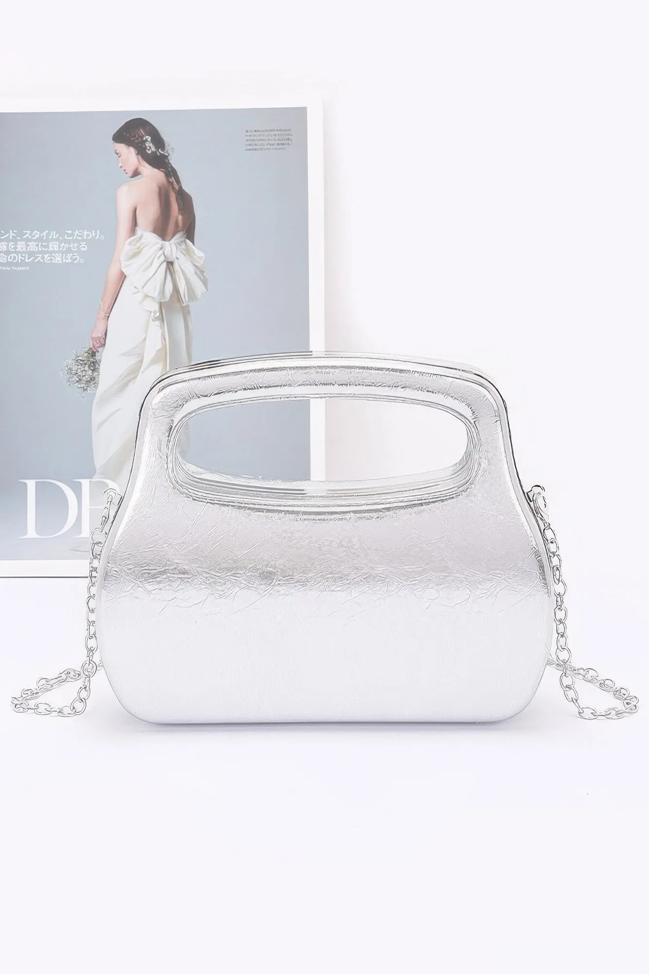Metallic Case Bag