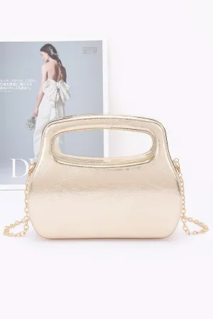 Metallic Case Bag