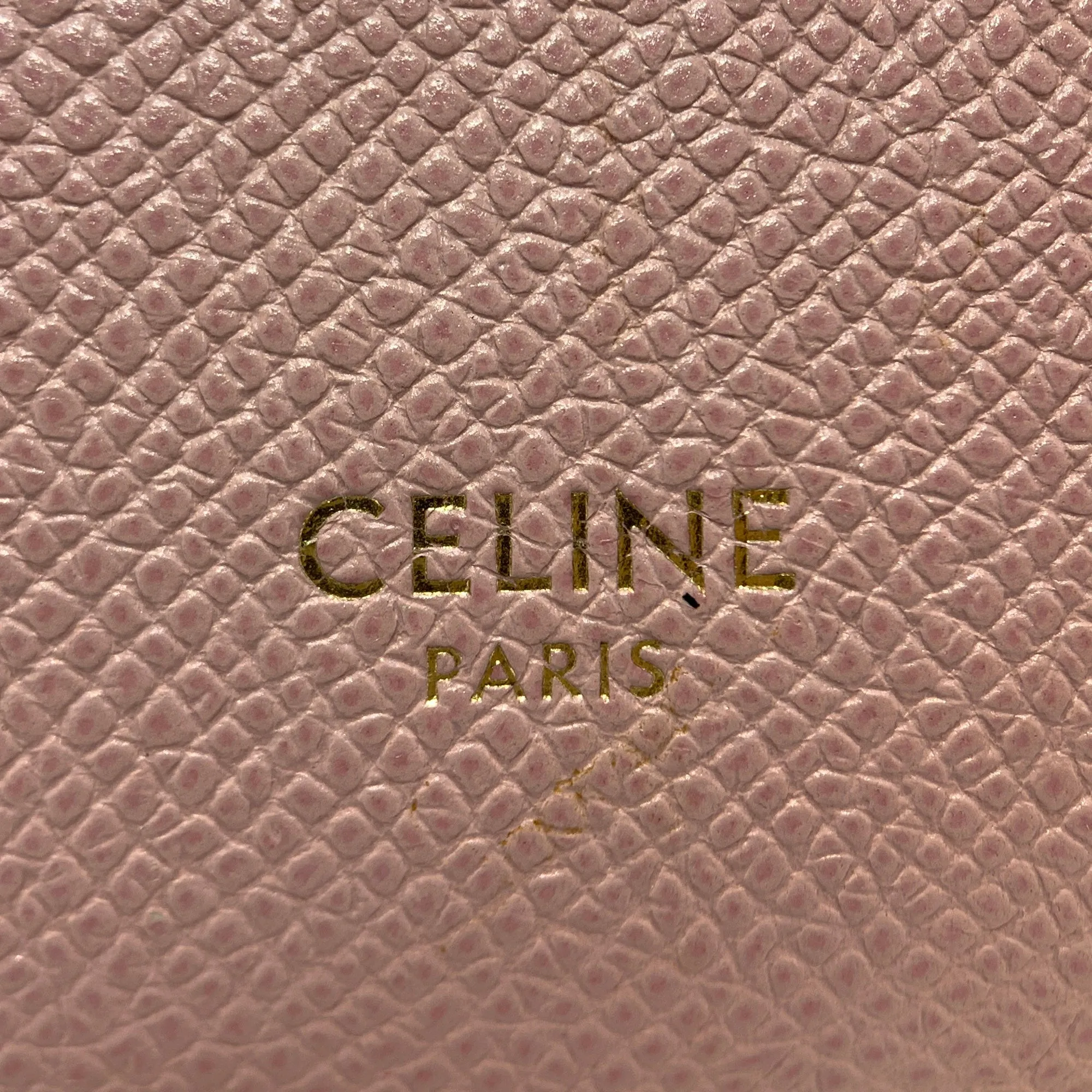 Nano Grained Calfskin Belt Bag