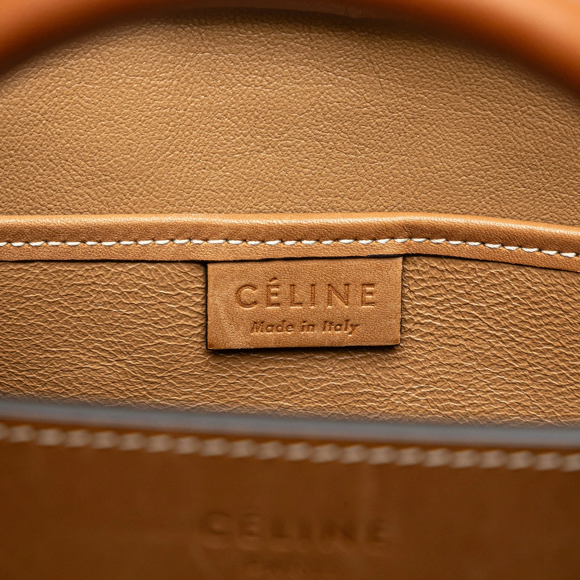 Nano Tricolor Leather Luggage Tote