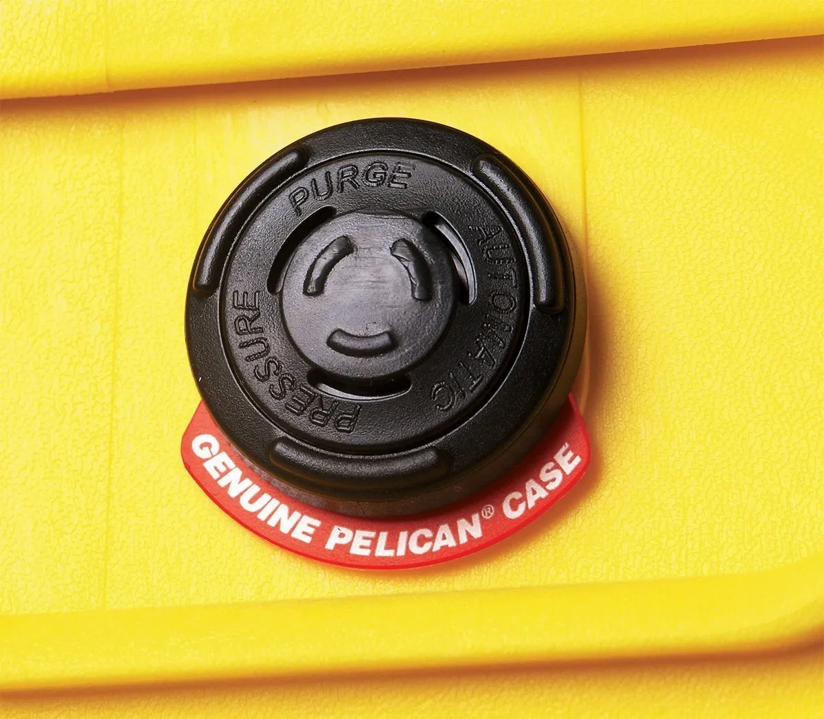 Pelican 1170 Protector Case