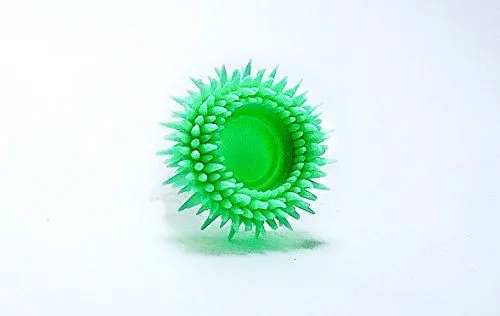 Rolly Disposable Toothbrush. Blister pack of 6