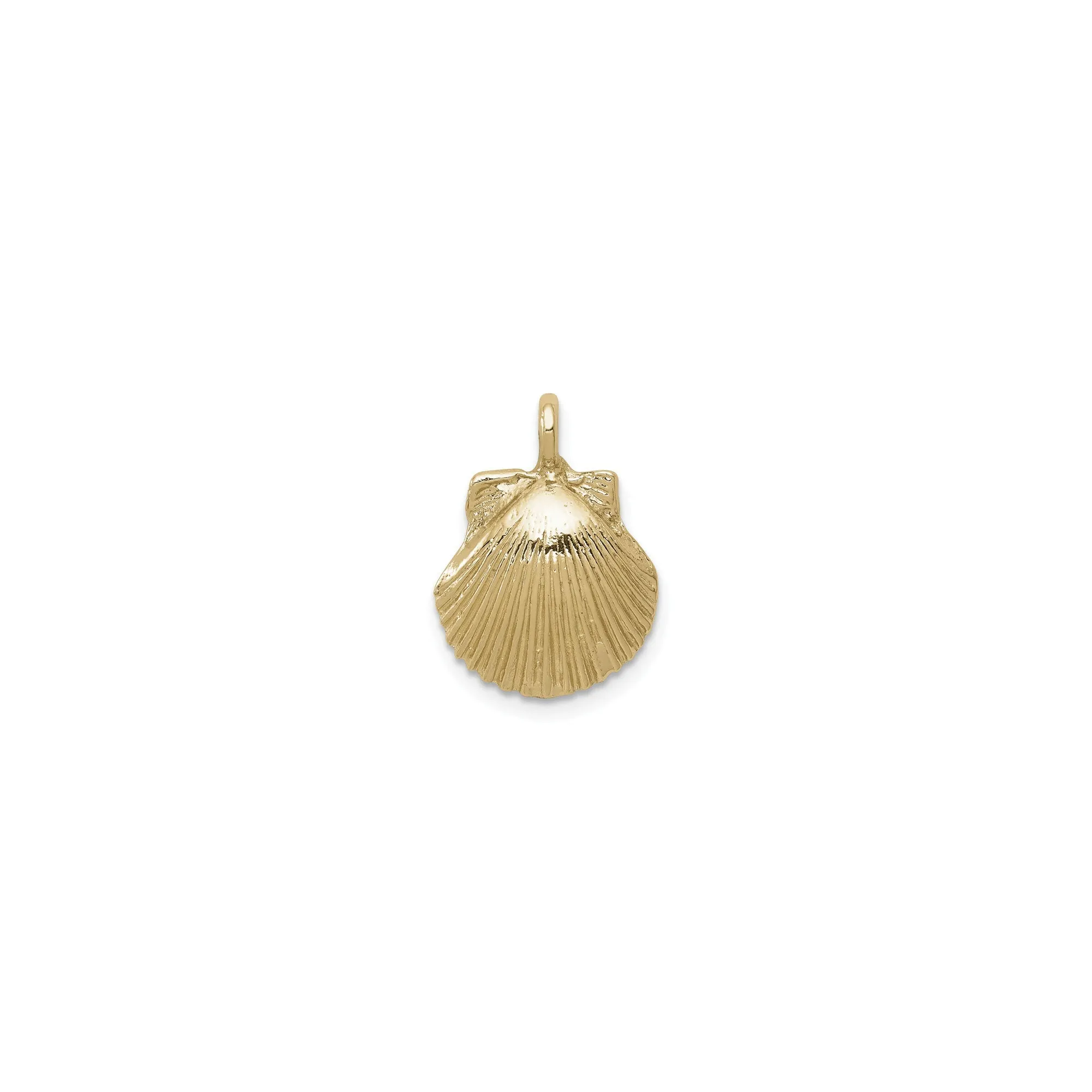Sea Shell Pendant (14K)