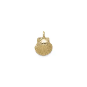 Sea Shell Pendant (14K)