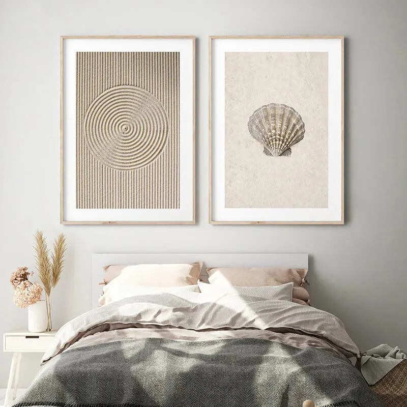Sea Shell