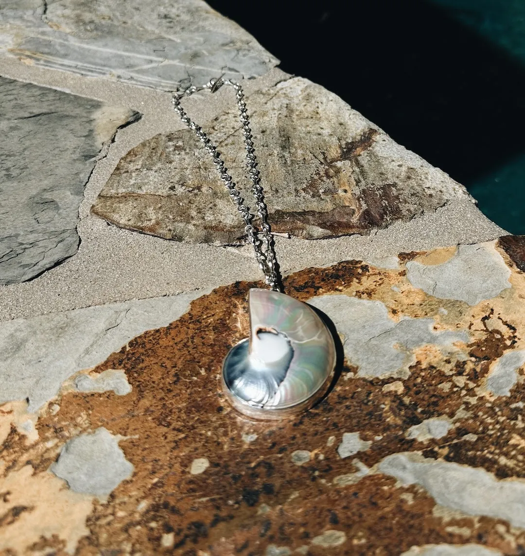 Shell Necklace on 15 MM Double Beam Necklace