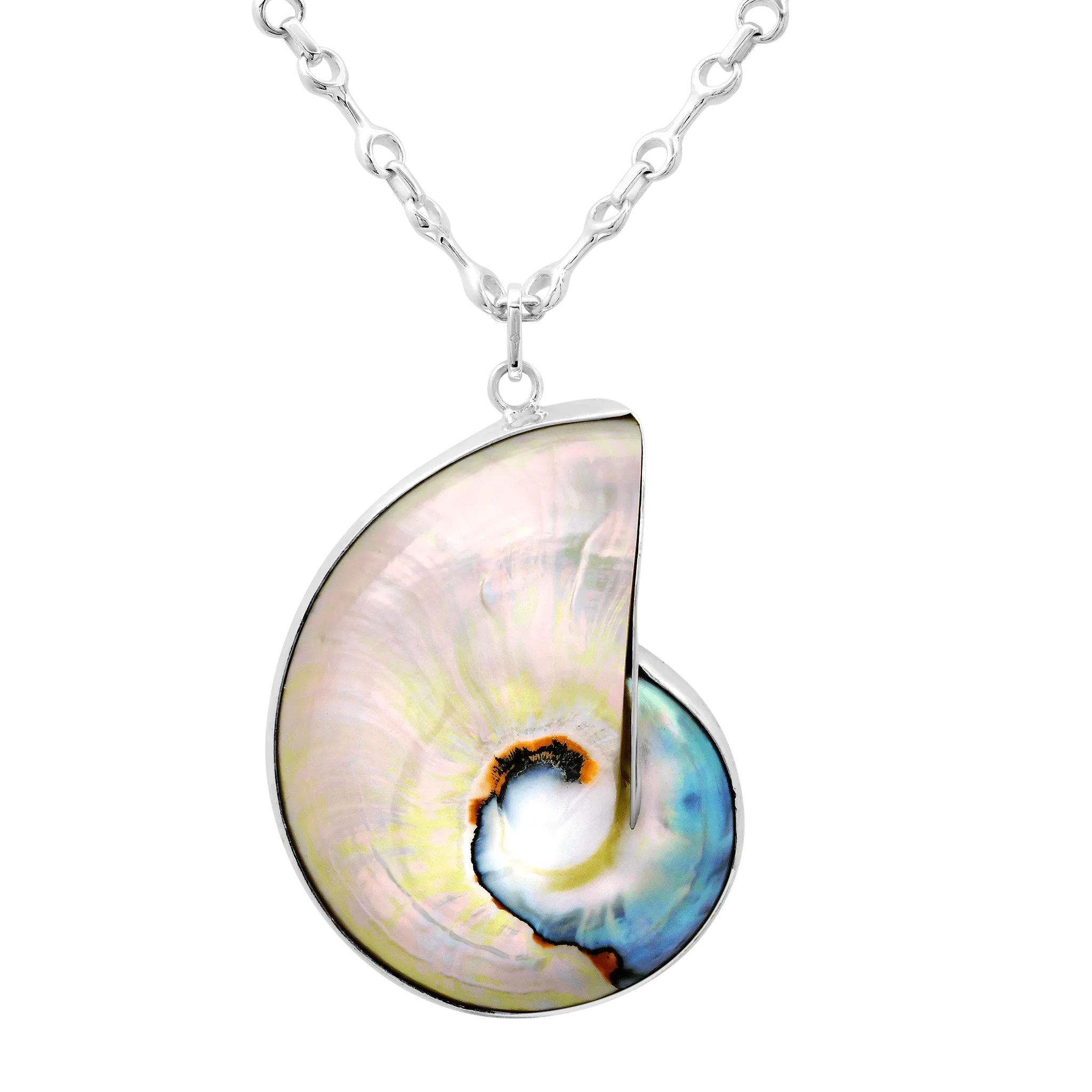 Shell Necklace on 15 MM Double Beam Necklace