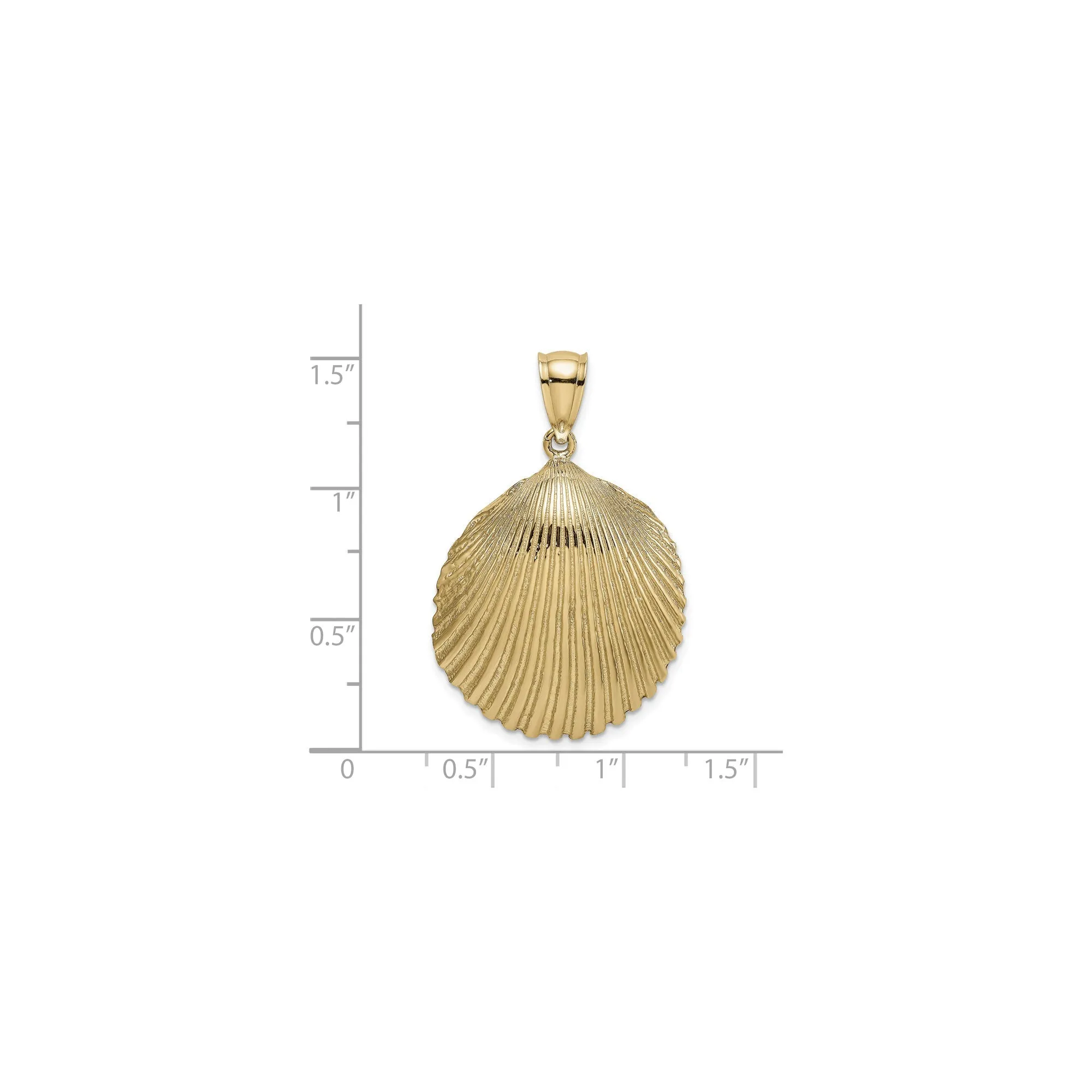 Textured Scallop Shell Pendant (14K)