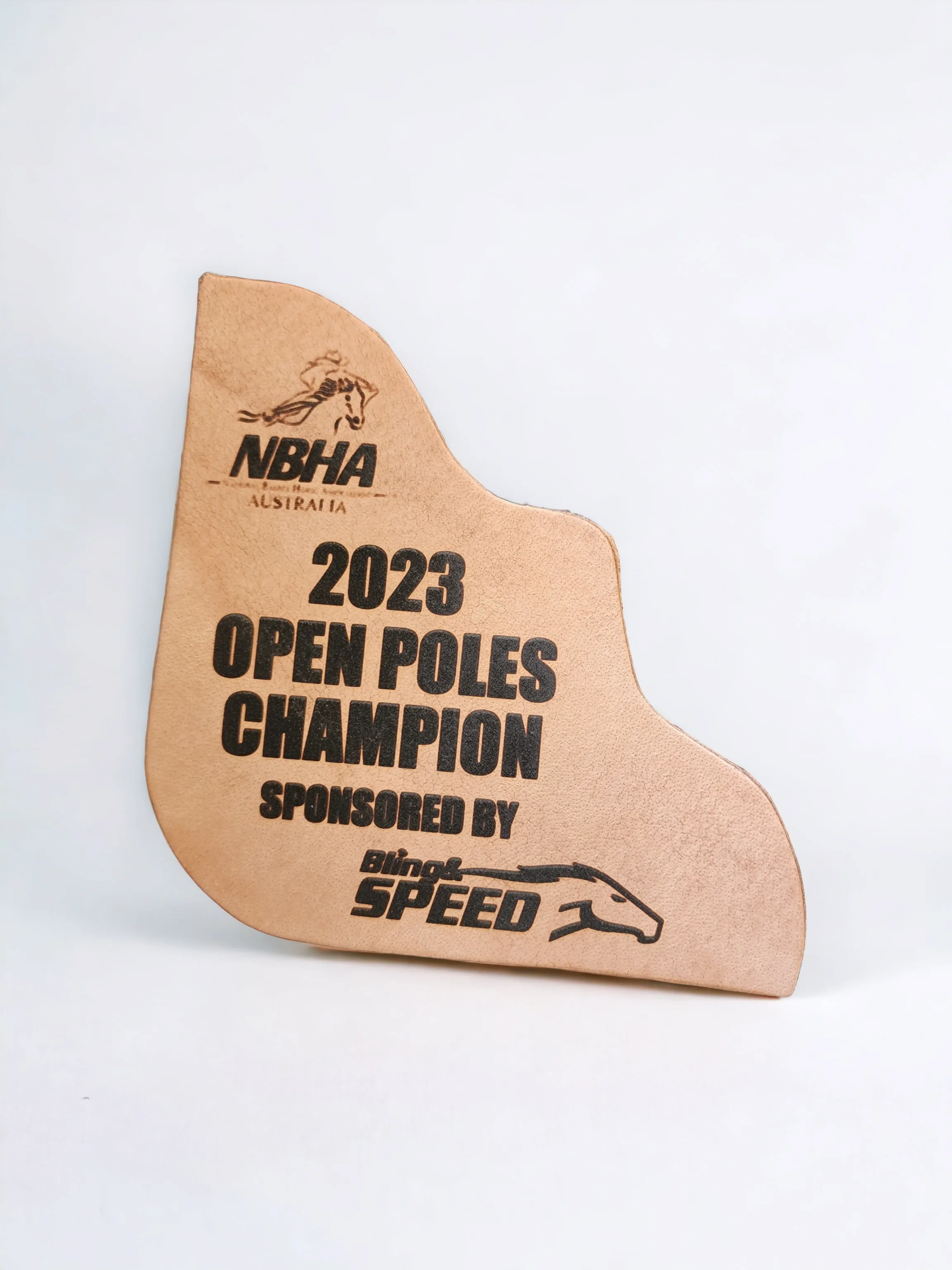 Trophy Patches for Saddle Pads